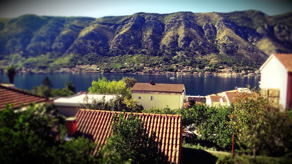 Apartments Lazarevic Kotor Cameră foto